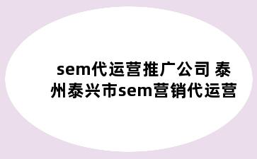 sem代运营推广公司 泰州泰兴市sem营销代运营